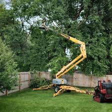 Best Tree Planting Services  in Springville, NY